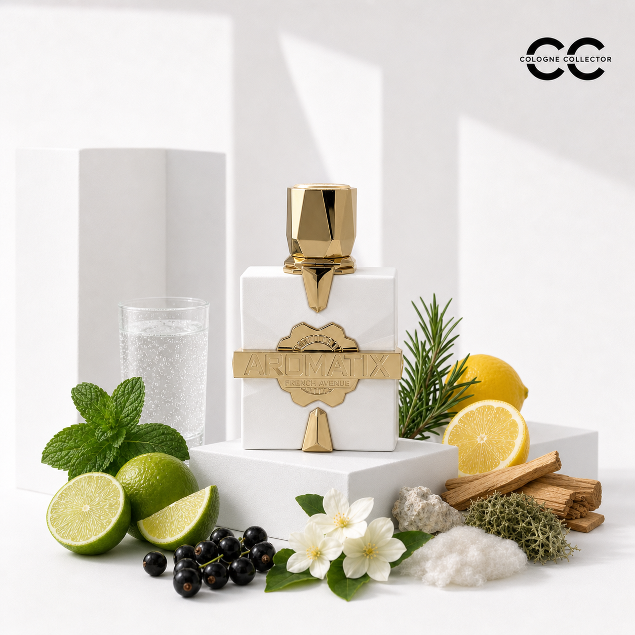 Aromatix Platine Blanc von French Avenue – CologneCollector Duftprofil und Duftstoffe