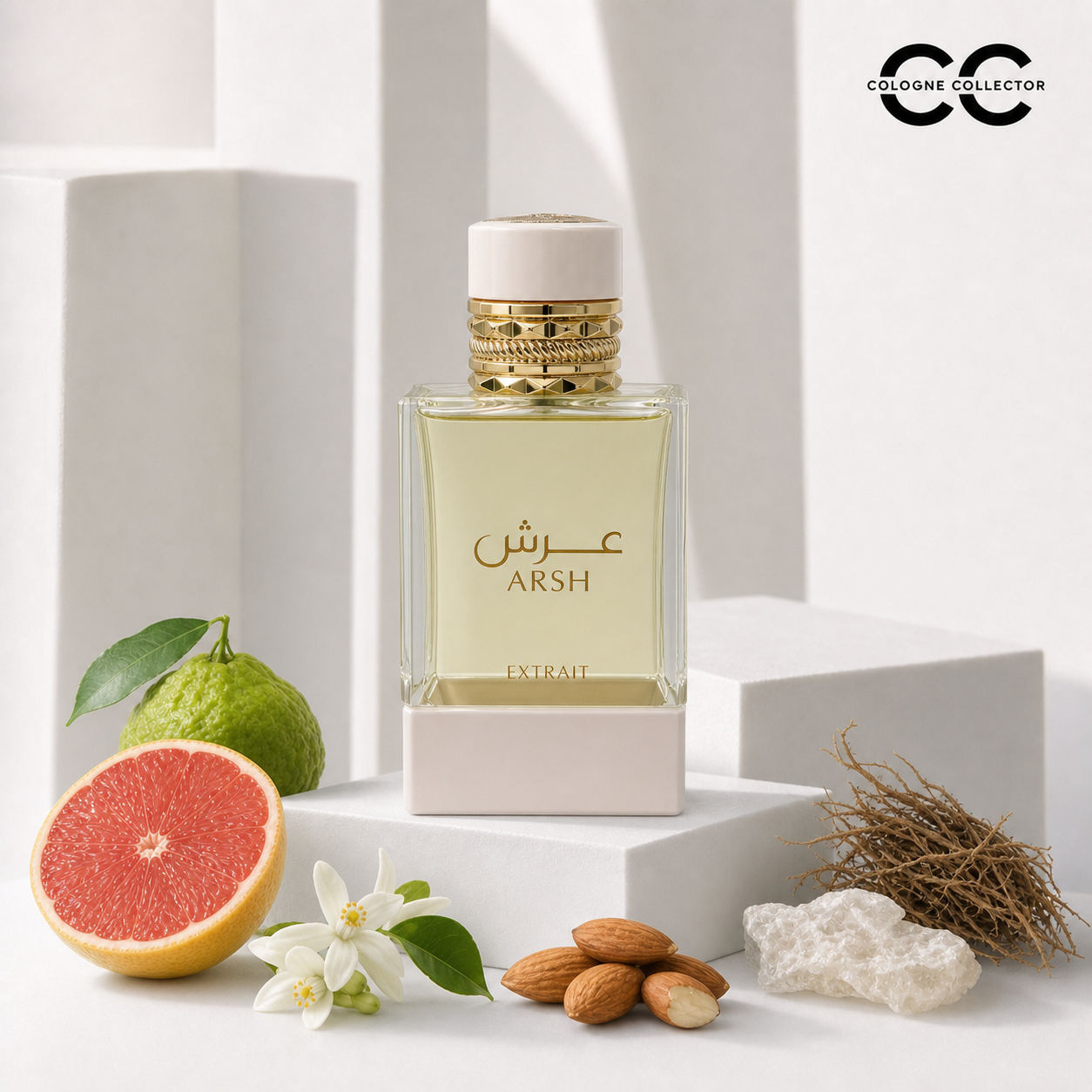Arsh von French Avenue – CologneCollector Duftprofil und Duftstoffe