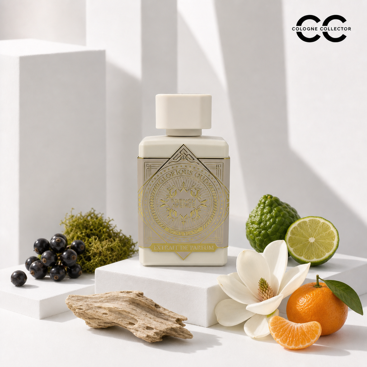 Glorious Oud Royal Blanc von French Avenue – CologneCollector Duftprofil und Duftstoffe