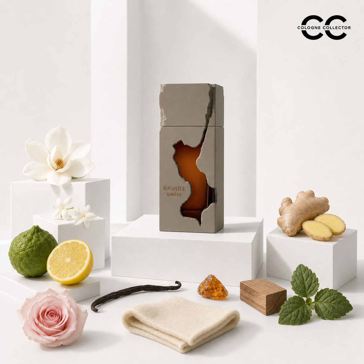 Ravine Ginger von French Avenue – CologneCollector Duftprofil und Duftstoffe