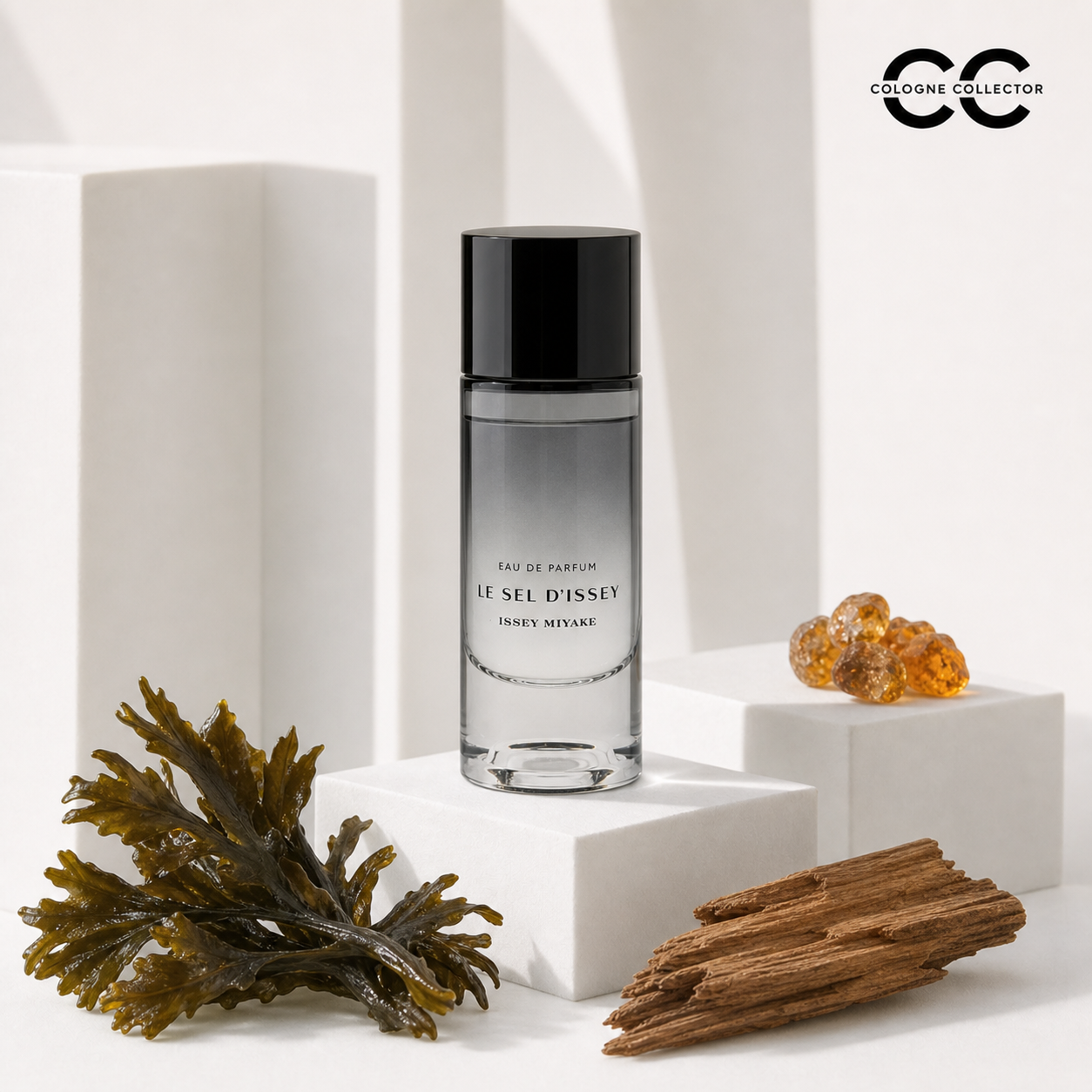 Le Sel d'Issey (Eau de Parfum) von Issey Miyake – CologneCollector Duftstoffe