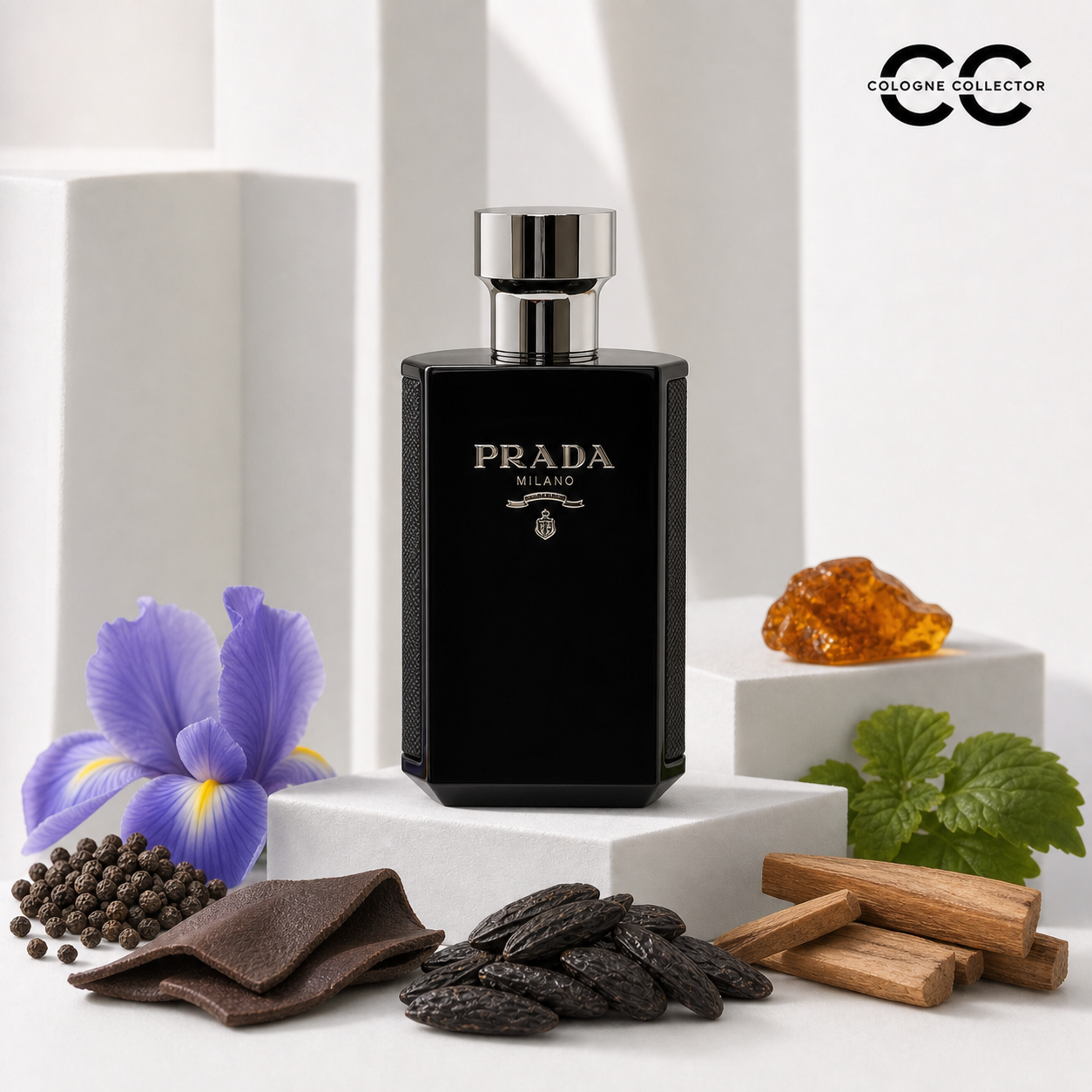 L'Homme Intense von Prada – CologneCollector Duftstoffe