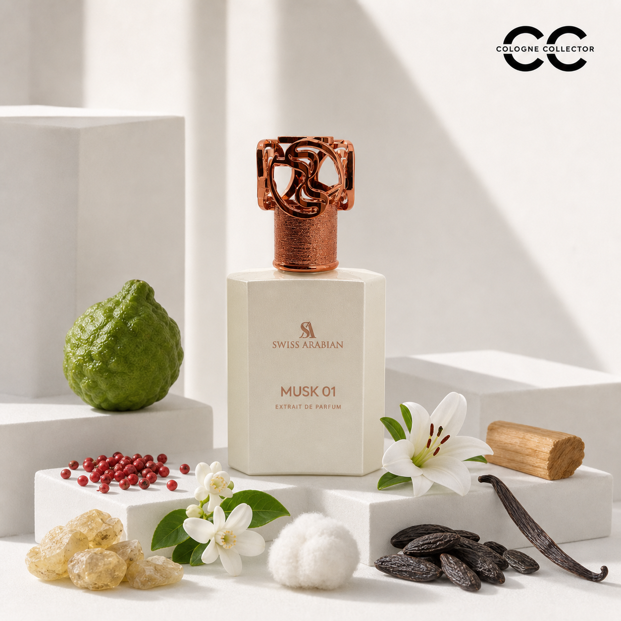 Musk 01 von Swiss Arabian – CologneCollector Duftprofil und Duftstoffe